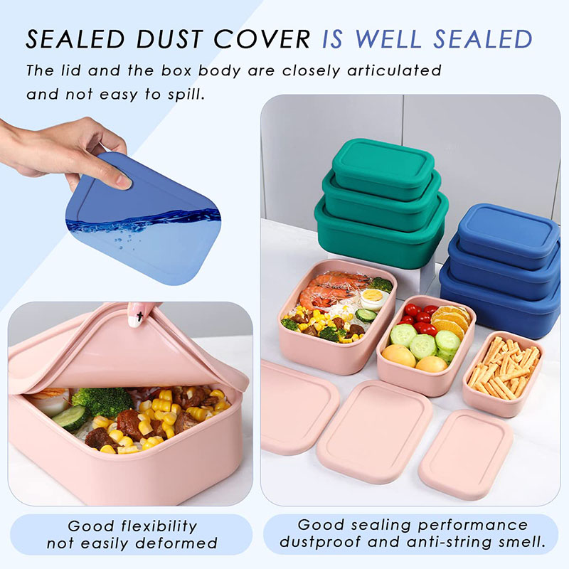 Bento Lunch Box resistente all - Meal Preparation recensione e prezzo